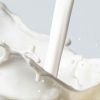スキムミルクと牛乳の代用換算フォーム
